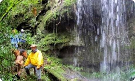 Las 10 entradas más vistas este 2017 en Galería Fotográfica de Argentina, deportes y naturaleza.