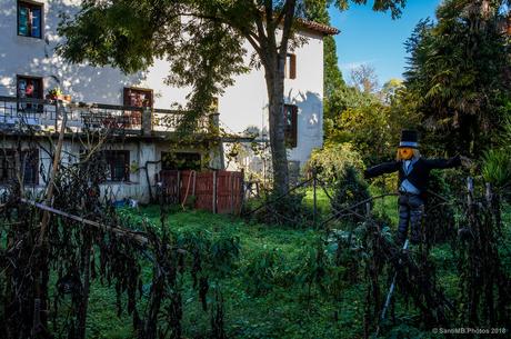 La tristeza del Sr. Txorimalo