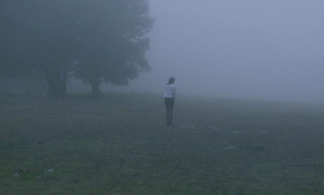 La región salvaje - 2016 La región salvaje - 2016