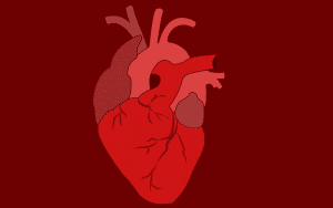 Misterios al descubierto. ¡ Existen los vampiros y están entre nosotros ¡