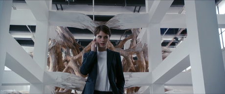 L'Amant double - 2017 L'Amant double - 2017