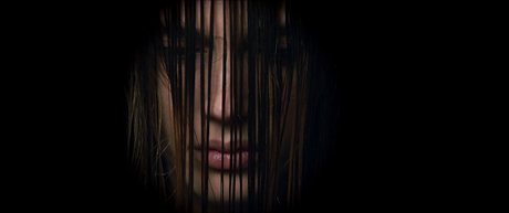 L'Amant double - 2017 L'Amant double - 2017