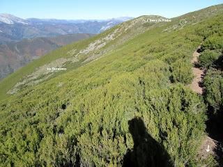 Payares-Matarreonda-Los Corralones-Los Pedruizos-Minas de Payares (08-Oct-2017)