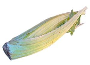 El cardo, una verdura típica navideña