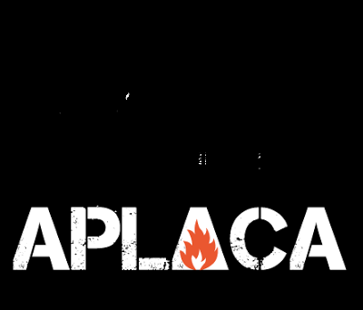 ¿Qué es el proyecto Castor?