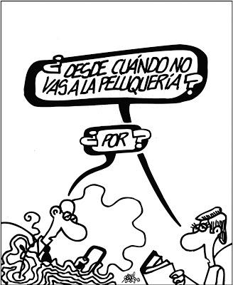 ¿Qué es el proyecto Castor?