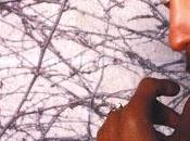 Prince Musicology (2004)