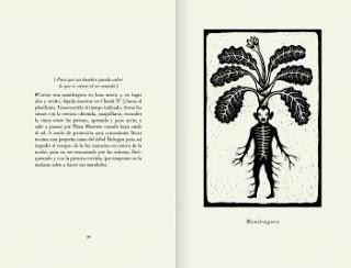 Reseña de “La Coronación de las Plantas” de Diego S. Lombardi