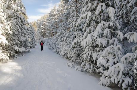 Senderismo planes Madrid rutas montaña sencillas nieve raquetas naturaleza fotografia