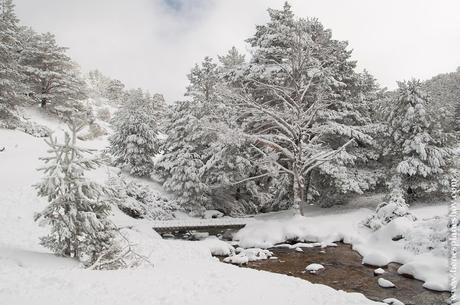 Ruta raquetas nieve Madrid Arroyo Guarramillas senderismo