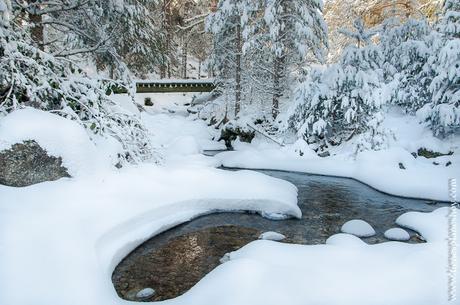 Ruta circular raquetas nieve Cotos planes madrid sierra naturaleza senderismo