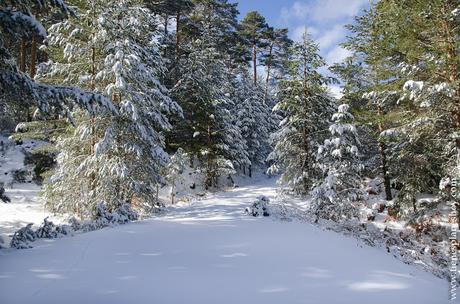Ruta bonita circular sierra madrid nieve raquetas facil paisajes