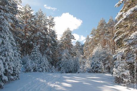 Ruta circular raquetas nieve sierra Madrid paisajes Guadarrama Cotos Cerradillas