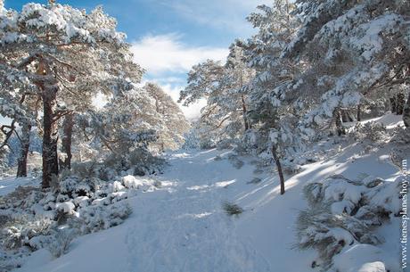 Ruta circular raquetas Guadarrama nieve invierno planes Madrid