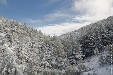 Ruta Cotos Valdesqui Arroyo Cerradillas Madrid nieve senderismo