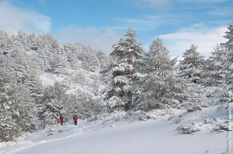 Ruta raquetas nieve Madrid paisaje nevado senderismo sierra montaña