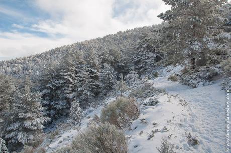 Sierra Madrid Ruta circular raquetas nieve montaña Cotos Valdesqui