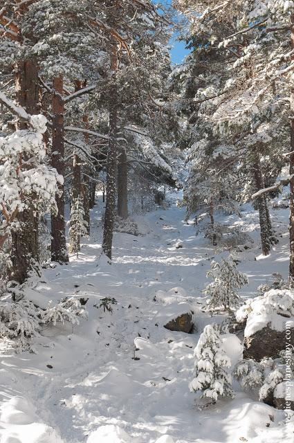 Ruta circular raquetas nieve Cerradillas Cotos Madrid Parque Guadarrama