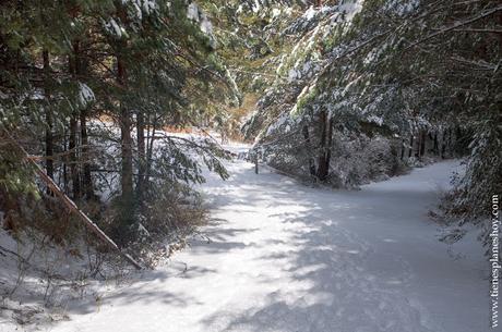 Ruta raquetas nieve Cotos Cerradillas RV9 Guadarrama Madrid