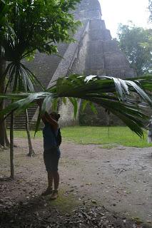 Tikal eterno Tikal eterno