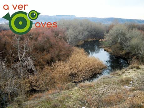 Camino del río desde las puertas del cole