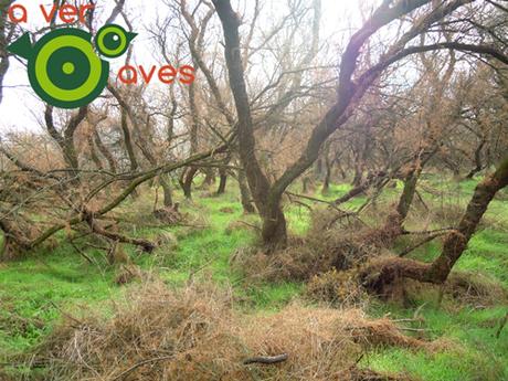 Camino del río desde las puertas del cole