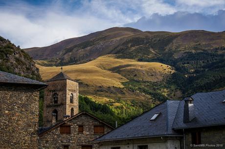 Prados alpinos