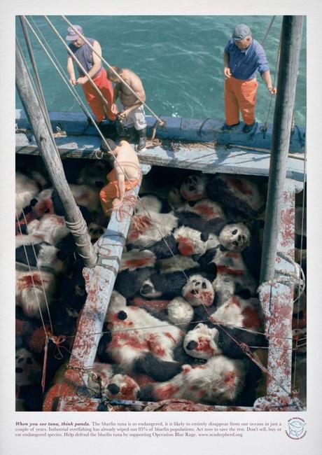 Las 10 campañas medioambientales mas efectivas del mundo Las 10 campañas medioambientales mas efectivas del mundo