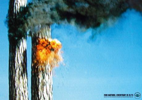 Las 10 campañas medioambientales mas efectivas del mundo Las 10 campañas medioambientales mas efectivas del mundo