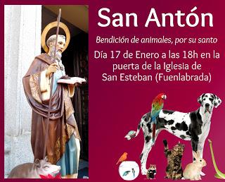 Festividad de San Antón 2018