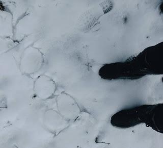 RESUMEN DE LECTURAS RESUMEN DE LECTURAS