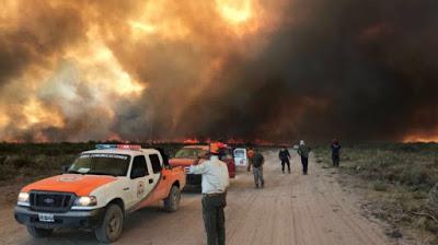 Más de 21.000 hectáreas quemadas por incendios forestales en Río Negro