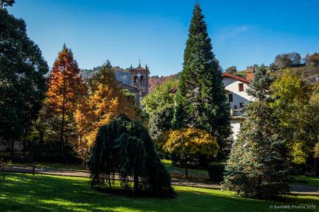 Entre árboles de colores