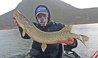 Una de Vertical System