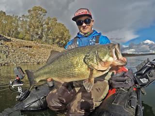 Una de Vertical System