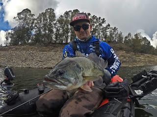 Una de Vertical System