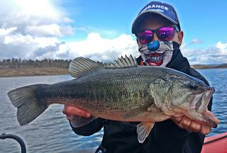 Una de Vertical System