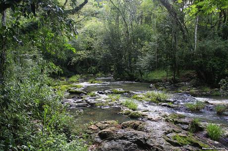 Viaje al Moconá