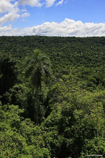 Viaje al Moconá