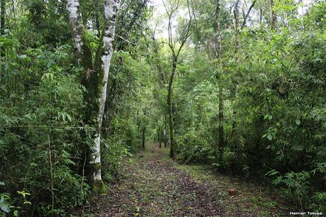 Viaje al Moconá