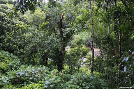 Viaje al Moconá