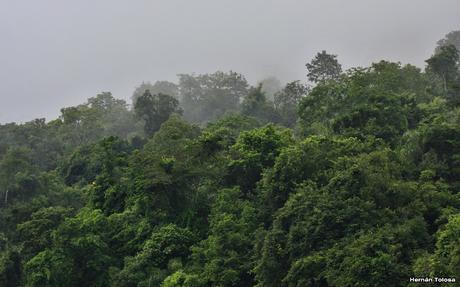 Viaje al Moconá