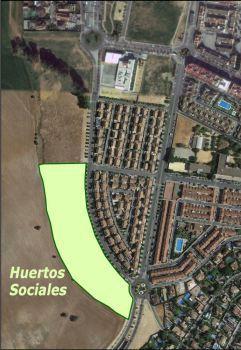 La asociación quinteña “Hortelanos de Quinto” será la encargada de la gestión de los Huertos Urbanos