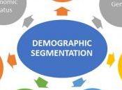 Ejemplos segmentación demográfica
