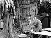 Céline panfletos antisemitas Confidencial