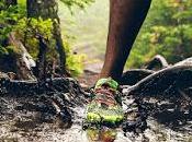 Elementos clave para corredor TRAIL