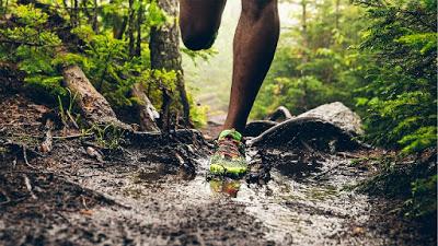 Los 5 Elementos clave para el corredor de TRAIL