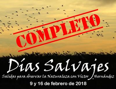 DÍAS SALVAJES: todas las plazas agotadas