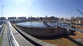 BENEFICIA MACROPLANTA TOLUCA NORTE ECOSISTEMA DEL VALLE DE TOLUCA