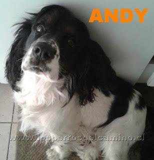 Andy...ayúdame